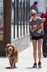 AMANDA SEYFRIED Walks Her Dog in New York 06/08/2015