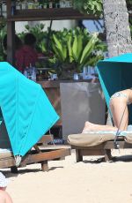 AUBREY PLAZA in Bikini at a Beach in Hawaii 06/05/2015