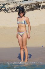 AUBREY PLAZA in Bikini at a Beach in Hawaii 06/05/2015