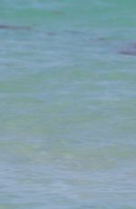 CHANTEL JEFFRIES in Bikini at a Beach in Miami 05/30/2015