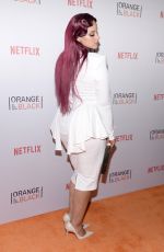DASCHA POLANCO at Orangecon Fan Event in New York