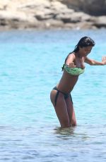 FEDERICA NARGI in Bikini on the Beach in Mykonos 06/16/2015