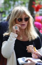 GOLDIE HAWN at Travels to My Elephant Conservation Campaign Launch in London