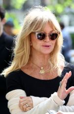 GOLDIE HAWN at Travels to My Elephant Conservation Campaign Launch in London