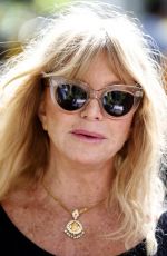 GOLDIE HAWN at Travels to My Elephant Conservation Campaign Launch in London