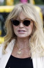 GOLDIE HAWN at Travels to My Elephant Conservation Campaign Launch in London