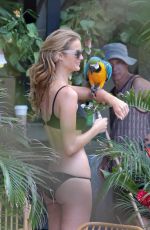KATE BOCK in Bikini on the Beach in Miami 06/04/2015