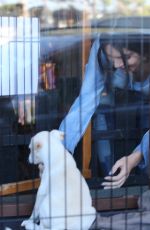 KENDALL JENNER Adopting a Dog at Bark N