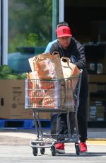 KYLIE JENNER Out for Grocery Shopping in Calabasas 06/10/2015