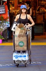 LUCY HALE Shopping at Whole Foods in Los Angeles 01/15/2015