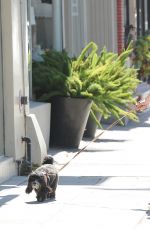 MIRANDA COSGROVE Walks Her Dog Out in Los Angeles 06/20/2015