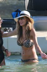 NICOLE SCHERZINGER in Bikini in Mykonos 06/28/2015