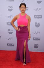 ROCSI DIAZ at 2015 AFI Life Achievement Award Gala in Hollywood