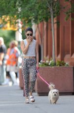 VANESSA HUDGENS Walks Her Dog Out in New York 05/30/2015