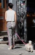 VANESSA HUDGENS Walks Her Dog Out in New York 05/30/2015