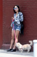 VANESSA HUDGENS Walks Her Dog Out in New York 06/14/2015