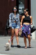 VANESSA HUDGENS Walks Her Dog Out in New York 06/14/2015