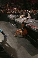 WWE - Elimination Chamber Digitals 2015