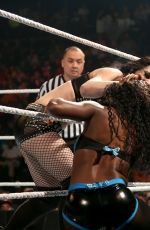 WWE - Elimination Chamber Digitals 2015