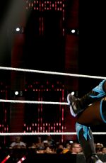 WWE - Elimination Chamber Digitals 2015