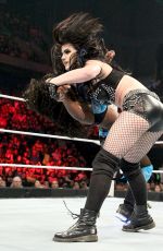 WWE - Elimination Chamber Digitals 2015