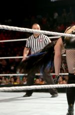 WWE - Elimination Chamber Digitals 2015