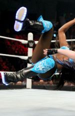WWE - Elimination Chamber Digitals 2015