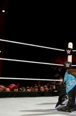 WWE - Elimination Chamber Digitals 2015