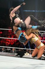 WWE - Elimination Chamber Digitals 2015
