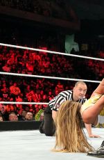 WWE - Elimination Chamber Digitals 2015