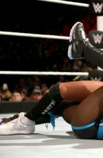 WWE - Elimination Chamber Digitals 2015