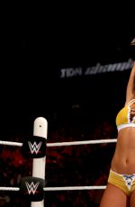 WWE - Elimination Chamber Digitals 2015