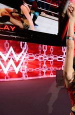 WWE - Elimination Chamber Digitals 2015