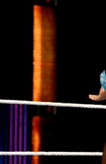 WWE - Elimination Chamber Digitals 2015