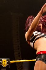 WWE - NXT Digitals 06/17/2015