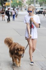 AMANDA SEYFRIED and Her Dog Finn Out in New York 07/30/2015