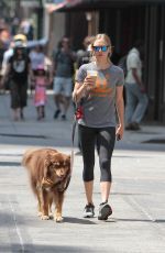AMANDA SEYFRIED Walks Her Dog Out in New York 07/28/2015