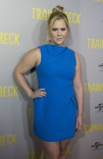 AMY SCHUMER at Trainwreck Premiere in Melbourne 07/21/2015