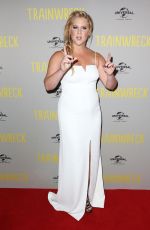 AMY SCHUMER at Trainwreck Premiere in Sydney