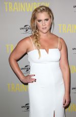 AMY SCHUMER at Trainwreck Premiere in Sydney