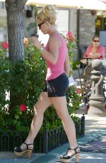 BRITNEY SPEARS Out Shopping in Thousand Oaks 07/14/2015