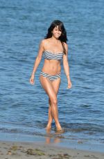 BROOKE BURKE in Bikini at a Beach in Malibu 07/28/2015