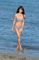 BROOKE BURKE in Bikini at a Beach in Malibu 07/28/2015