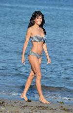 BROOKE BURKE in Bikini at a Beach in Malibu 07/28/2015