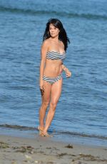 BROOKE BURKE in Bikini at a Beach in Malibu 07/28/2015