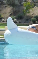 BROOKE BURKE in Bikini at Her House in Malibu 07/28/2015