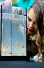 CARA DELEVINGNE at El Hormiguero TV Show in Madrid 07/08/2015