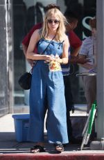 CHLOE SEVIGNY Out Shopping in Los Angeles 07/14/2015