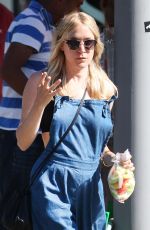 CHLOE SEVIGNY Out Shopping in Los Angeles 07/14/2015