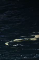ELSA PATAKY in Bikini Paddleboarding and Swiming in Corsica 07/03/2015